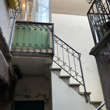 Eagle'S Nest Venice Guest House 外观 照片