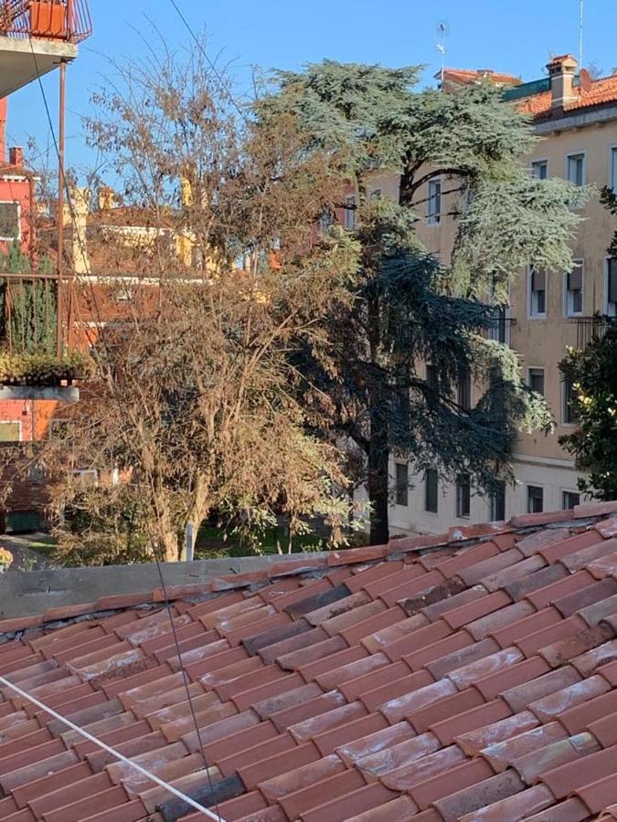 Eagle'S Nest Venice Guest House 外观 照片
